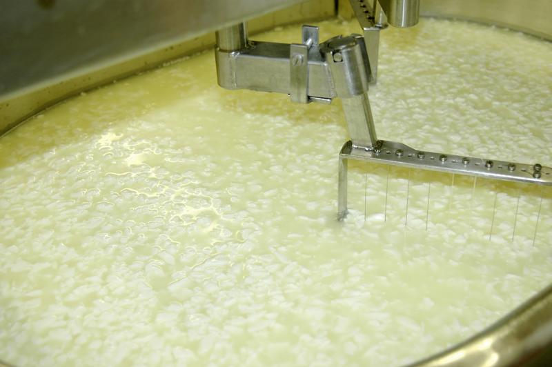 Whey, which occurs as a waste material from cheese production, contains valuable proteins. In the project Whey2Food these proteins are selectively enriched for use in food products. 