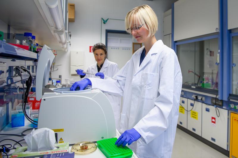 Im Labor bearbeiten oncgnostics-Mitarbeiterin Kristina Wunsch und Masterstudentin Susann Rudolph (vorn) Versuchsreihen zur Weiterentwicklung der molekulardiagnostischen  Krebstests. 
