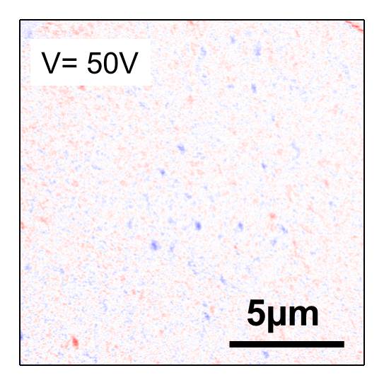 Mit einem äußeren elektrischen Feld (50 V) ist die Probe antiferromagnetisch. Die Messung wurde bei einer Temperatur von 385 Kelvin oder 112 °Celsius gemacht.