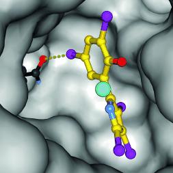 Stark halogenhaltige Alkaloide aus Meeres-Bakterien, sogenannte Pseudiline, bieten möglicherweise einen neuen Ansatz zur Bekämpfung von Malaria.