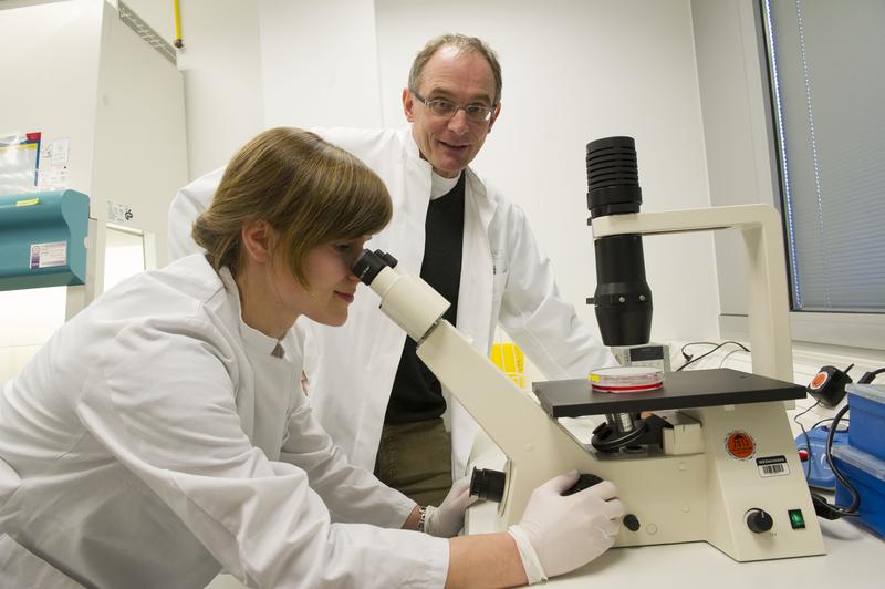 Ein eingespieltes Team: Prof. Dr. Hubert Schorle und Caroline Kubaczka vom Institut für Pathologie des Universitätsklinikums Bonn bei der Kontrolle der Zellkulturen.