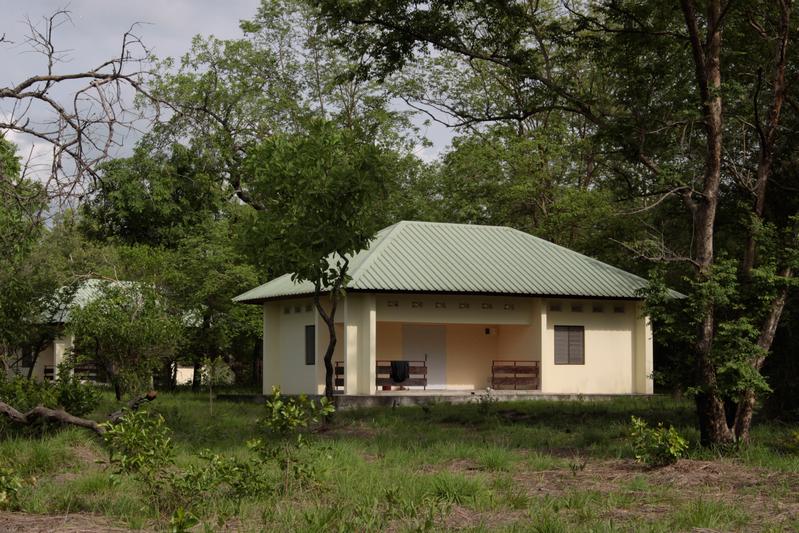 Zur Forschungsstation im ivorischen Nationalpark gehören auch 14 Einzelhäuser für Forschungspersonal. 