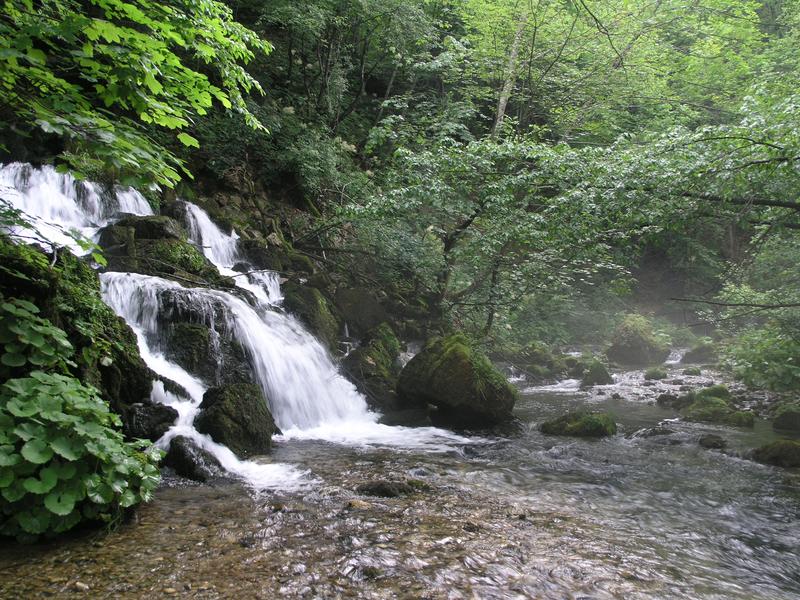 Ein typischer Karstbach mit Seitenquelle des westlichen Balkans. Hier leben die mikroendemische Köcherfliegen der Gattung Drusus.
