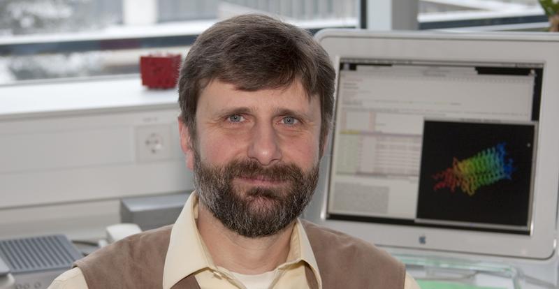 Andrei N. Lupas