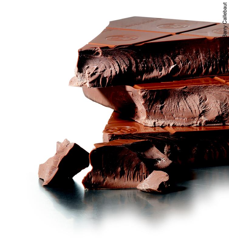 An der Jacobs University erforschen Wissenschaftler in einem Projekt mit dem weltweit größten Kakao- und Schokoladenhersteller Barry Callebaut die Geheimnisse der Kakaobohne. 