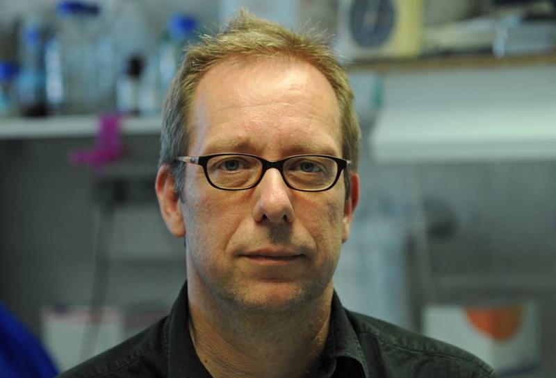 Univ.-Prof. Dr. Andreas Diefenbach vom Forschungszentrum Immunologie (FZI) der Universitätsmedizin Mainz