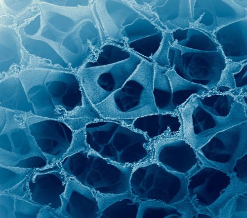 NanoBioMater