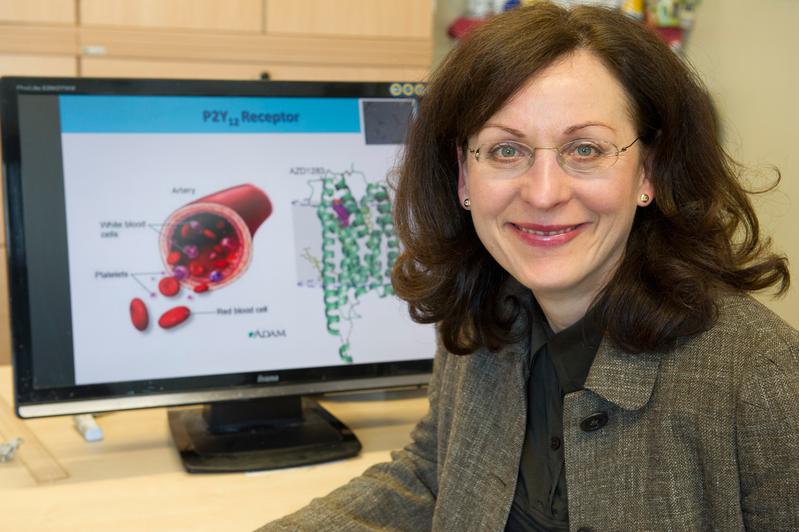 Prof. Dr. Christa E. Müller vom Pharmazeutischen Institut der Universität Bonn mit der Struktur des Rezeptors am Computerbildschirm. 