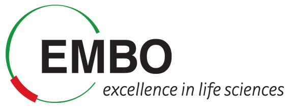 Logo der European Molecular Biology Organisation (EMBO)