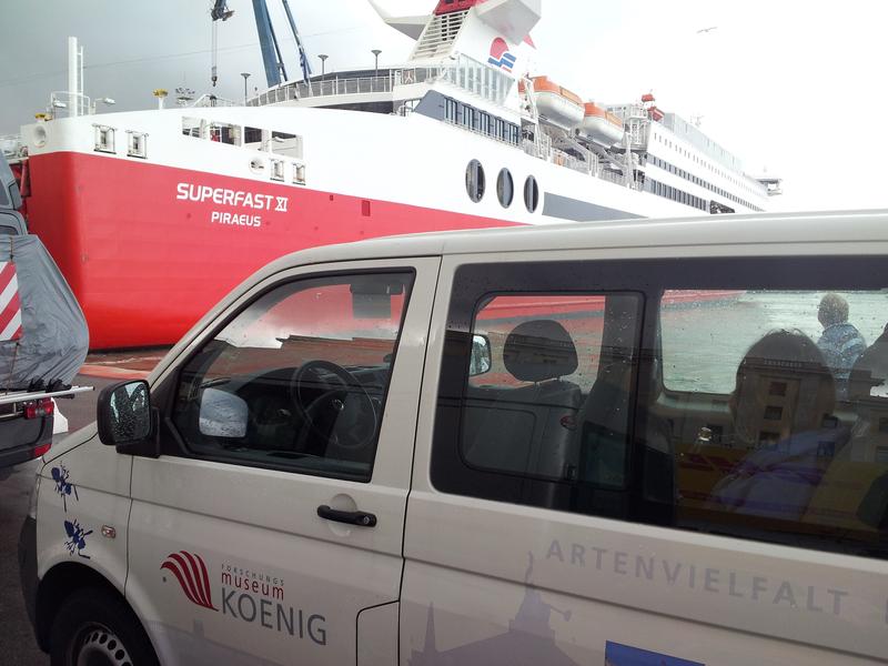 Von Bonn nach Ancona und im Regen mit der ‚Piraeus‘ und dem ZFMK - Bulli nach Igoumenitsa in Griechenland zum sammeln.