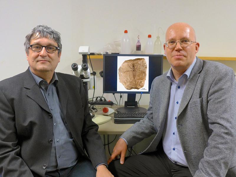Fig. 2 Dr. A. Staniczek (links) und Dr. G. Bechly (rechts)
