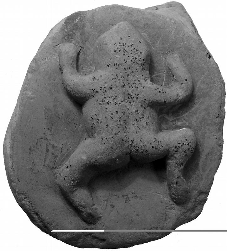 Dieser Lügenstein aus dem Institut für Geologie der Uni Würzburg zeigt einen angeblich versteinerten Frosch.