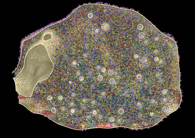 Weltweit erstes 3D-Modell einer Synapse. Die Rekonstruktion einer Synapse im Querschnitt zeigt 60 verschiedene Proteine, die zusammen über 300.000 einzelne Proteinkopien in der Synapse ergeben.