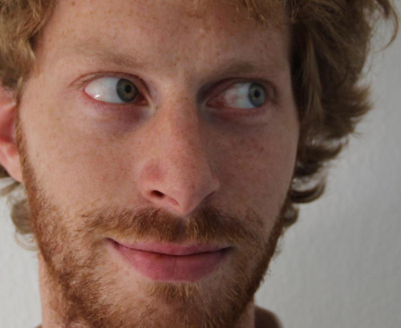 Brain cells encoding both the speed of the landscape and the eye movement ensure that we can clearly recognize a passing scenery instead of seeing it blurred. 