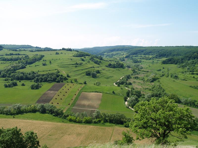 Die Landwirtschaft in Siebenbürgen (Rumänien) ist noch größtenteils traditionell aber im Wandel begriffen.