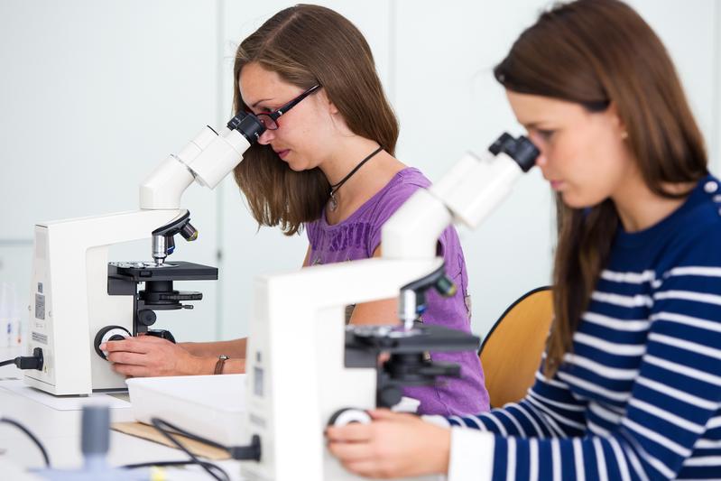 Am Samstag, den 5. Juli, lädt die Universität des Saarlandes zum Tag der offenen Tür ein. Die Besucher erwartet ein buntes Programm aus Experimenten, Führungen und Mitmachangeboten. 