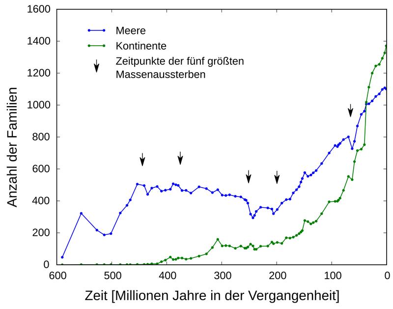 Entwicklung der Tier- und Pflanzenfamilien im Meer und an Land in den letzten 600 Millionen Jahren.