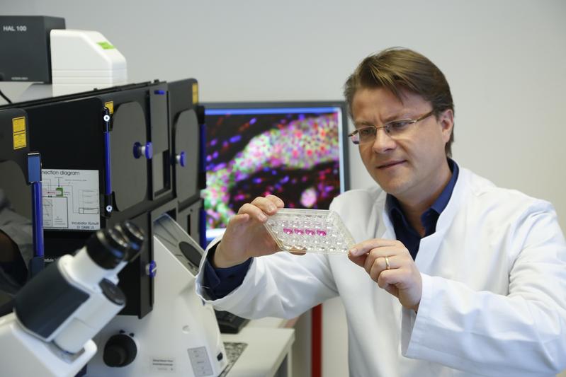 „Wir haben einen neuen Schalter in Stammzellen gefunden“, erklärt Prof. Michael Rieger. 