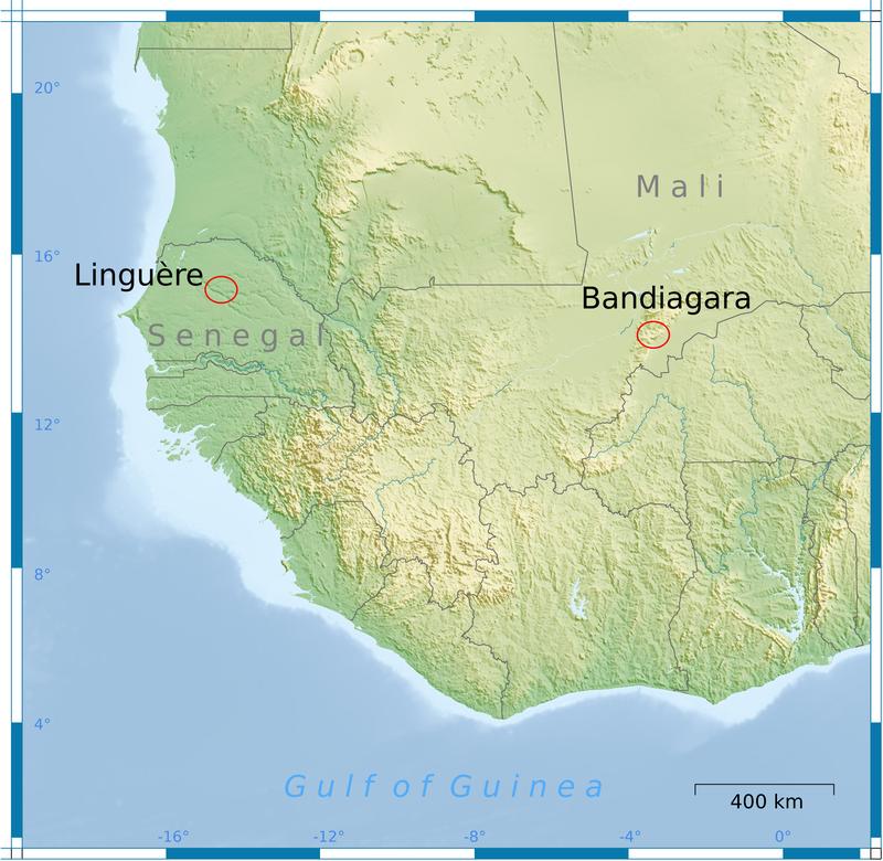 Die Feldforschungen im westafrikanischen Sahel haben sich auf zwei Untersuchungsgebiete in Senegal und in Mali konzentriert.