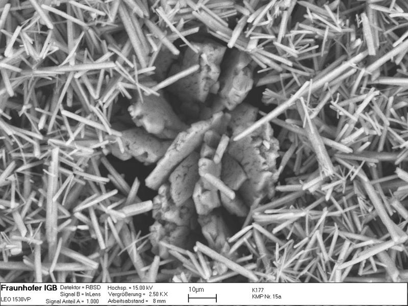 Mit theoretischen und experimentellen Untersuchungen gelang Daniel Frank in seiner Doktorarbeit die optimierte Fällung von Kalium-Magnesium-Phosphat-Kristallen aus Gülle.