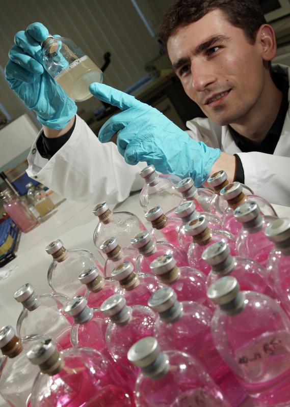 Dr. Torsten Schubert von der Uni Jena untersucht Bakterien, die sich unter Luftabschluss vermehren. Ihre Schadstoff-abbauenden Enzyme wollen der Mikrobiologe und sein Team jetzt charakterisieren.