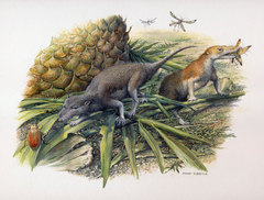Die frühen Säugetiere Morganucodon und Kuehneotherium bei der Jagd. Diese Tiere haben im frühen Jura auf einer kleinen Insel in der heutigen Region Glamorgan im südlichen Wales gelebt. 