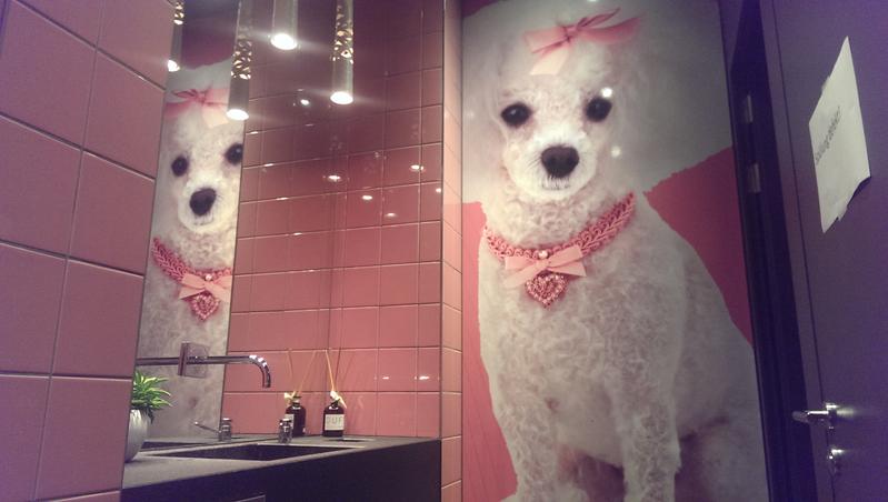 Ein rosa Chihuahua begrüsst die WC-Benutzerinnen im Zürcher Loft 5.