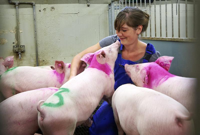 Doktorandin Jenny Stracke bereitet ein verhaltensbiologisches Experiment vor.