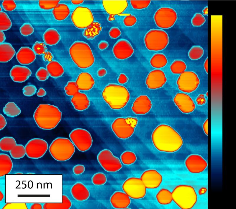 Die Abbildung zeigt die mit einem Rastertunnelmikroskop untersuchten Lanthan-Nanoinseln auf einer Wolfram-Unterlage.