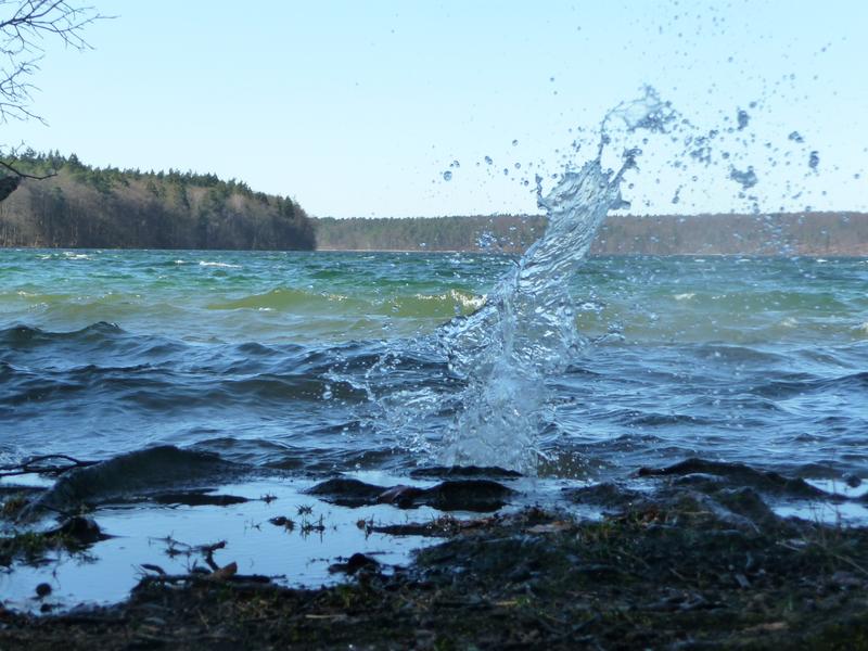 Der Stechlinsee ist bereits seit 1938 Naturschutzgebiet und seit 1959 Gegenstand intensiver gewässerökologischer Untersuchungen. 