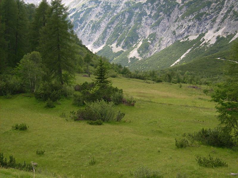 Hier fühlen sich die Falter wohl: Halltal in Nordtirol, in etwa 1800 Meter Höhe 