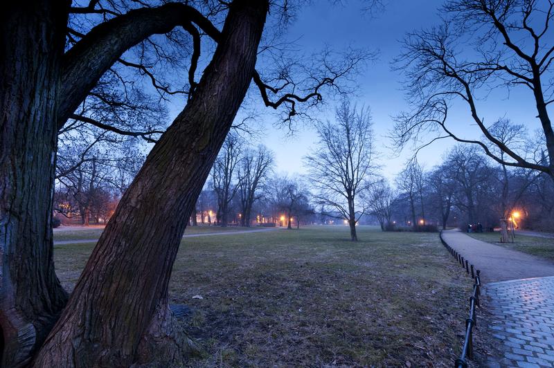 Licht beeinflusst nicht nur den Biorhythmus von Lebewesen in der Stadt. Auch der Himmel in vielen Naturschutzgebieten ist durch Städte nachts inzwischen deutlich heller als ursprünglich. 