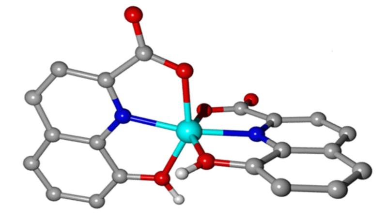 Darstellung der Molekülstruktur des Komplexes aus 8-HQA und Eisenion. In der Mitte ist das Eisenion (hellblau) zu sehen, das im Komplex eingebunden ist.