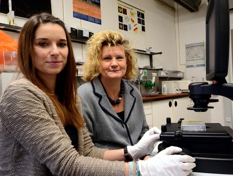 Doktorandin Janine Müller und Prof. Dr. Barbara Kaltschmidt (v. l.) haben die Zellen für die Parkinson-Studie vorbereitet und ausgewertet.
