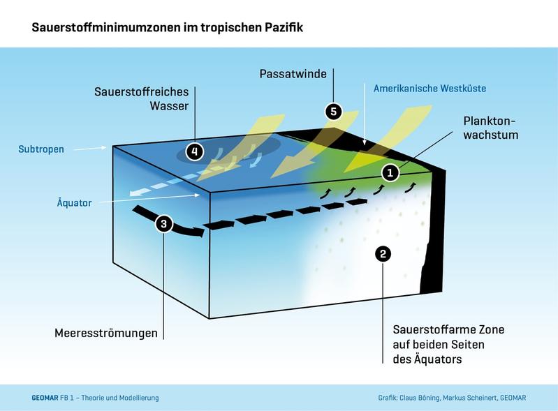 Schema des Tropischen Pazifiks. Eine detaillierte BU unter <www.geomar.de/n2233>