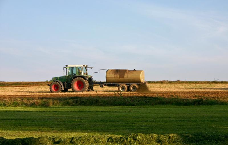 Die DBU fördert seit Jahren Dünge-, Tierhaltungs- und Fütterungsmethoden, mit denen deutlich weniger Stickstoffverbindungen in die Umwelt gelangen.