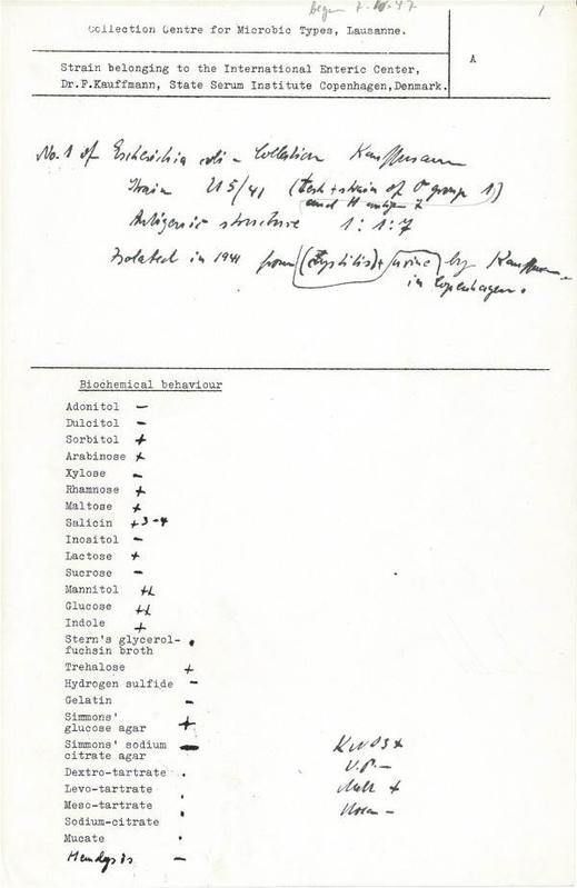 Scan der Original-Hinterlegungskarte des E. coli-Typstamms U5/41T (= DSM 30083T) in der Kulturensammlung Lausanne