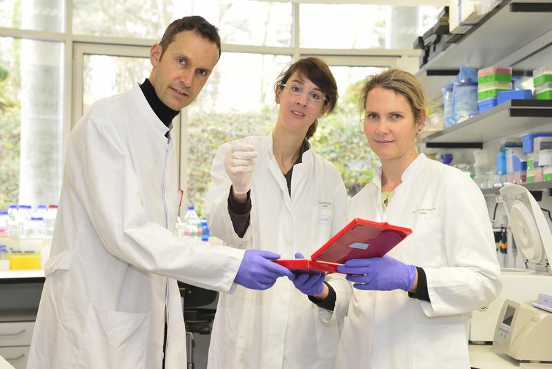 Prüfen Gehirnschnittpräparate: Prof. Dr. Albert Becker, Dr. Katharina Pernhorst und Prof. Dr. Susanne Schoch McGovern. 