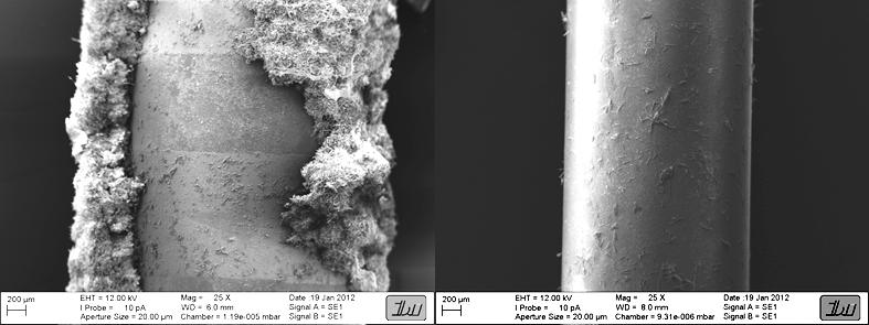 REM-Aufnahme nach in vitro-Prüfung, kommerzielle Harnleiterschiene (links), beschichtetes Polymer (rechts)
