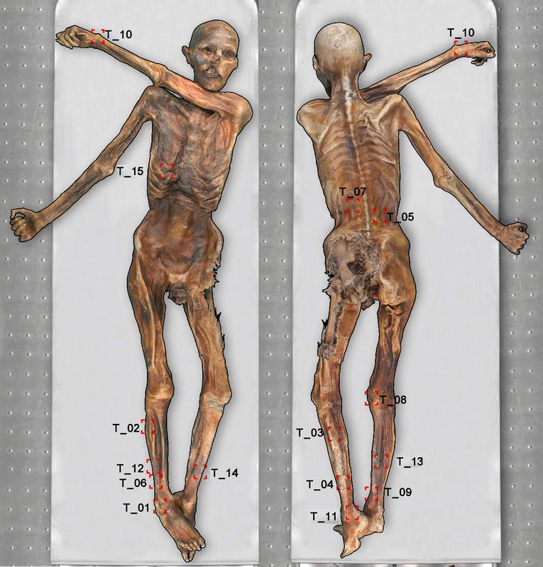 Overview tattoos of the Iceman