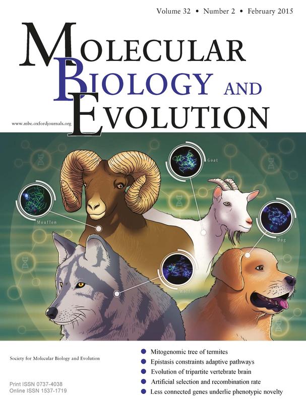 Die Studie ziert das aktuelle Cover des Fachjournals „Molecular Biology and Evolution“ 