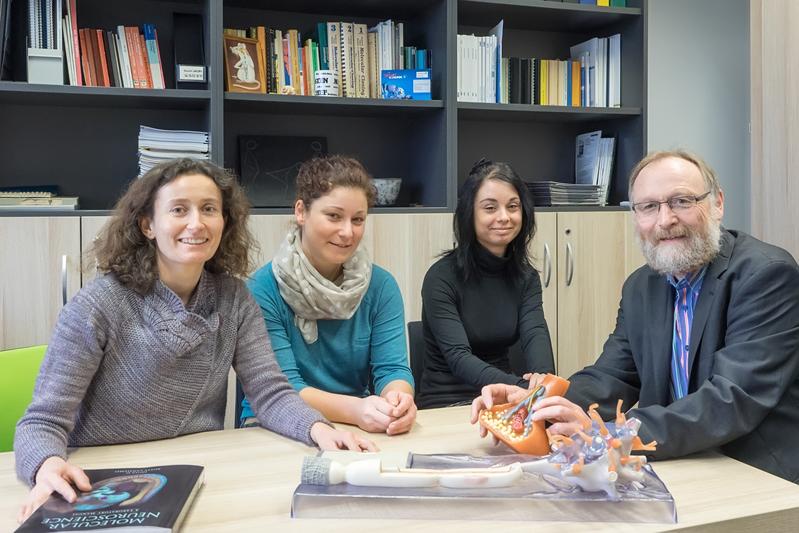 Dr. Anna Fejtová, Anika Dirks, Daniela Ivanova, Prof. Dr. Eckart D. Gundelfinger (v.l.n.r.)