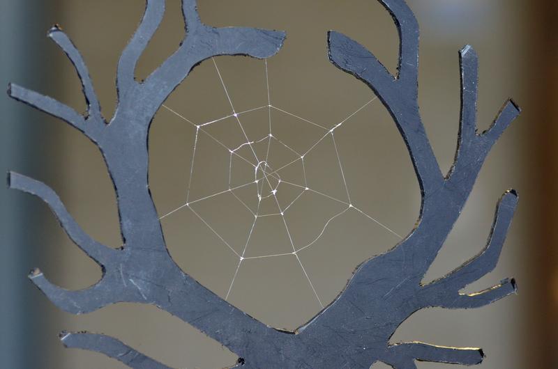 Spinnennetz aus biotechnologisch hergestellten Spinnenseidenproteinen.