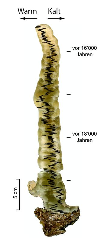 Geochemische Analysen entlang eines Stalagmiten aus dem Sieben Hengste Höhlensystem (Schweiz) erlauben eine detaillierte Rekonstruktion der Klimaschwankungen während der Letzten Eiszeit.