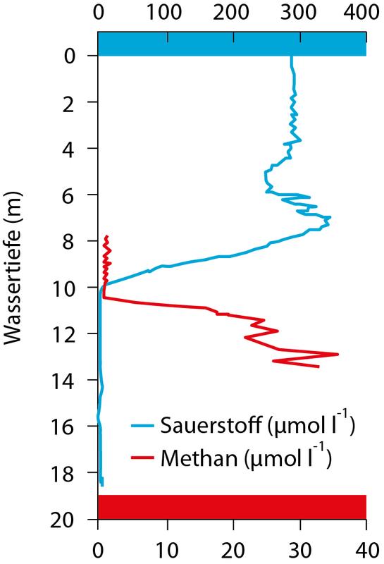 Typical profiles of oxygen and methane concentrations in Lake Cadagno. Methane consumption occurs in a relatively thin water layer at a depth of 10–13 metres. 