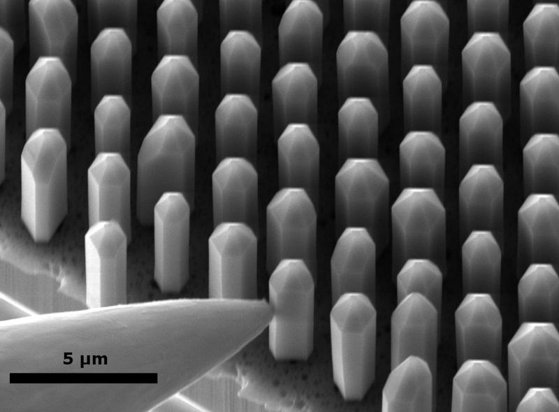 Mit einer Messspitze kontaktierte dreidimensionale LEDs aus Indiumgalliumnitrid im Rasterelektronenmikroskop