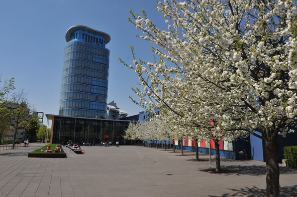 SRH Hochschule Heidelberg