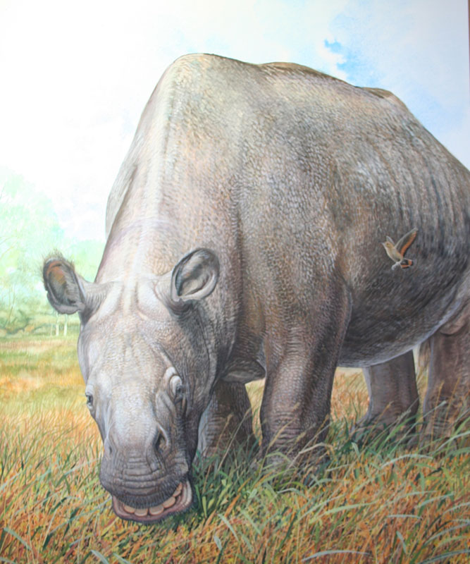 Toxodon platensis lebte vor zehn bis zwanzigtausend Jahren in Südamerika. 