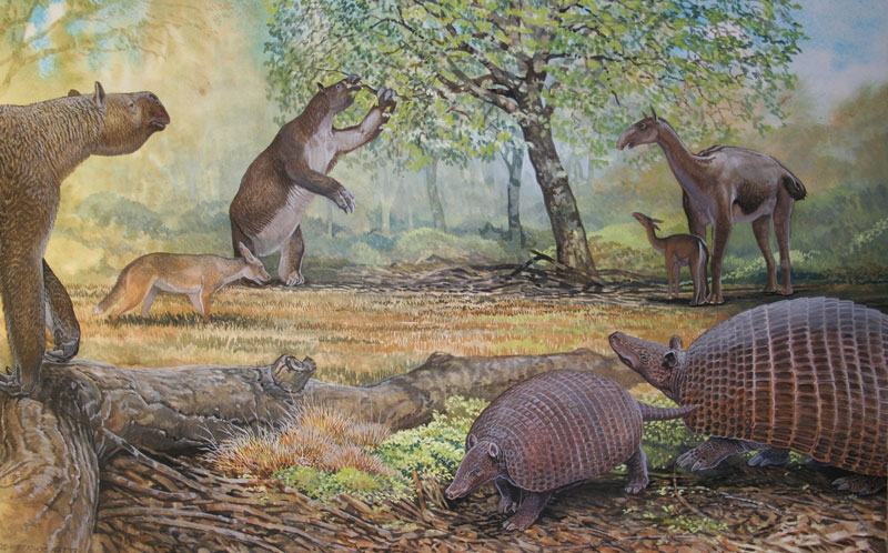 Fauna und Flora eines südamerikanischen Trockenwaldes während des Pleistozäns. 