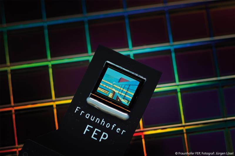 Bidirektionales Mikrodisplay